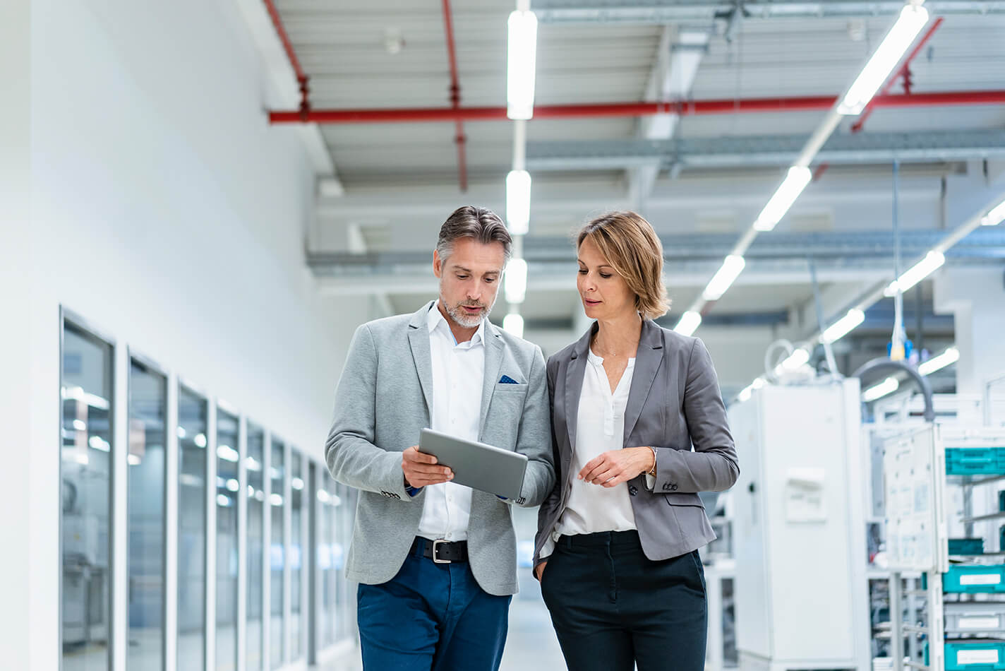 Consultant and client
