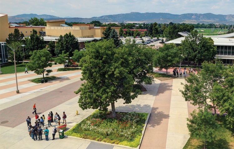 notifier_csu_tiles_750x480.jpg