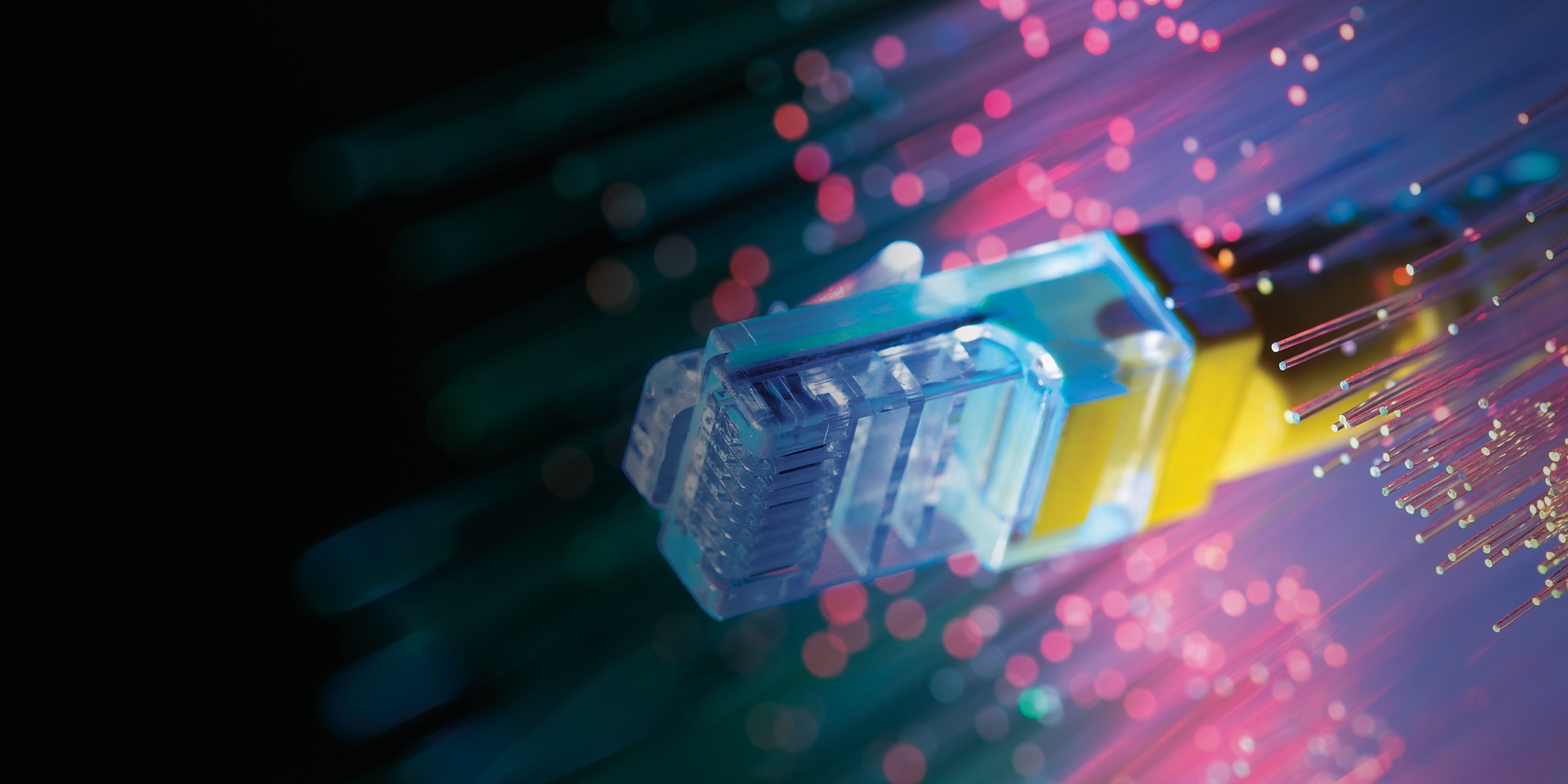 notifier_network_hero_2880x1440.jpg