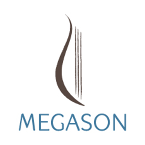 MEGASON Logo