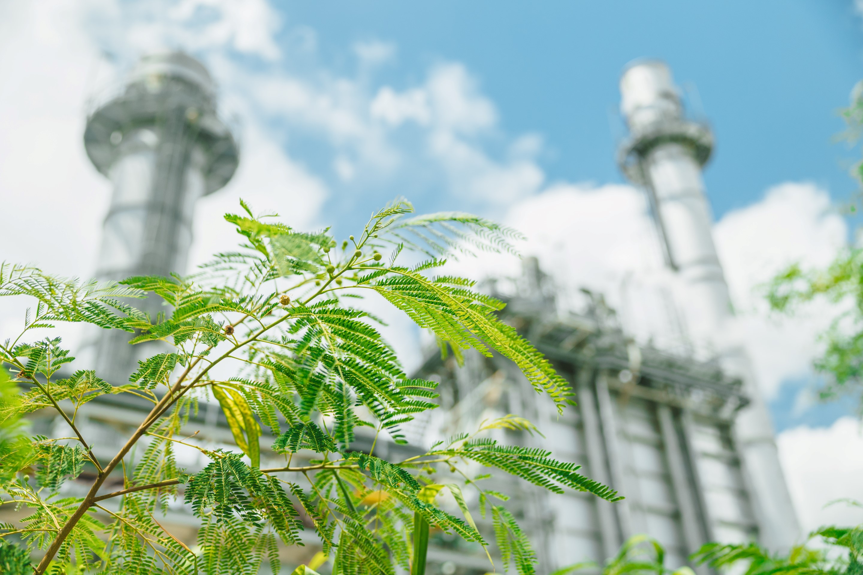 Vibrant green foliage in the foreground with blurred industrial towers and a blue sky in the background.