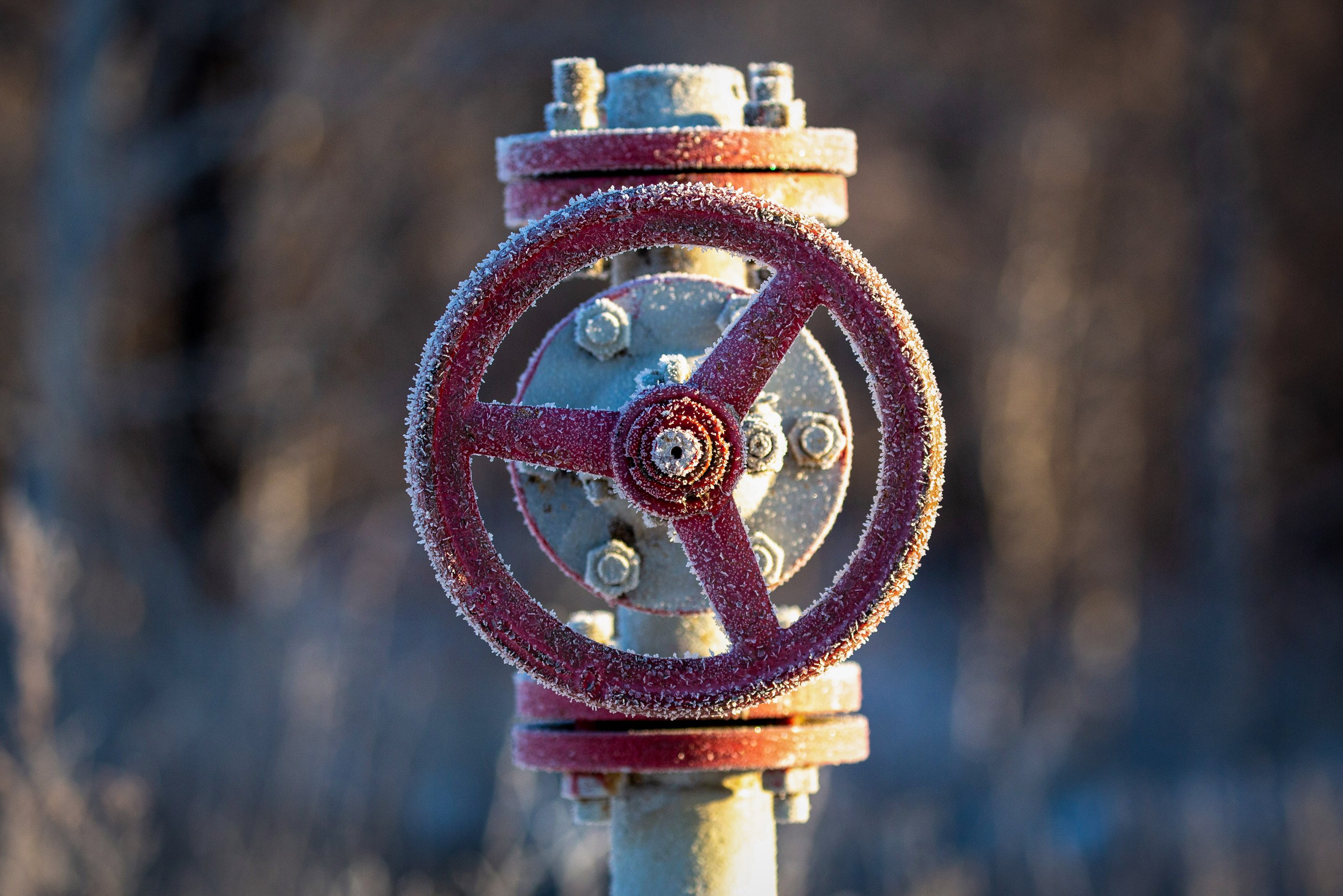 A close-up view of a frosted red industrial wheel valve set against a softly blurred, cold winter background.