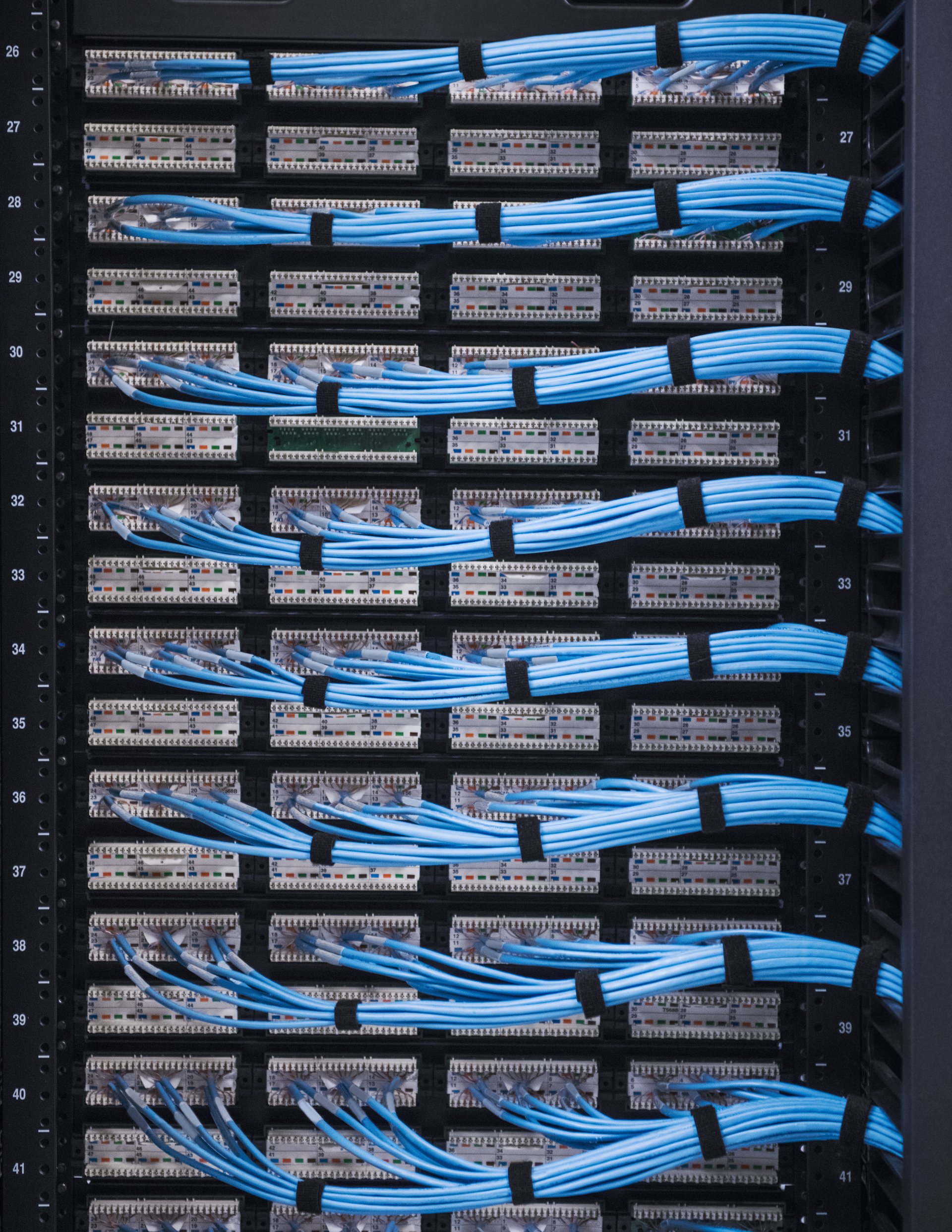 Organized blue network cables neatly terminated into patch panels within a server rack, highlighting professional data center infrastructure management.
