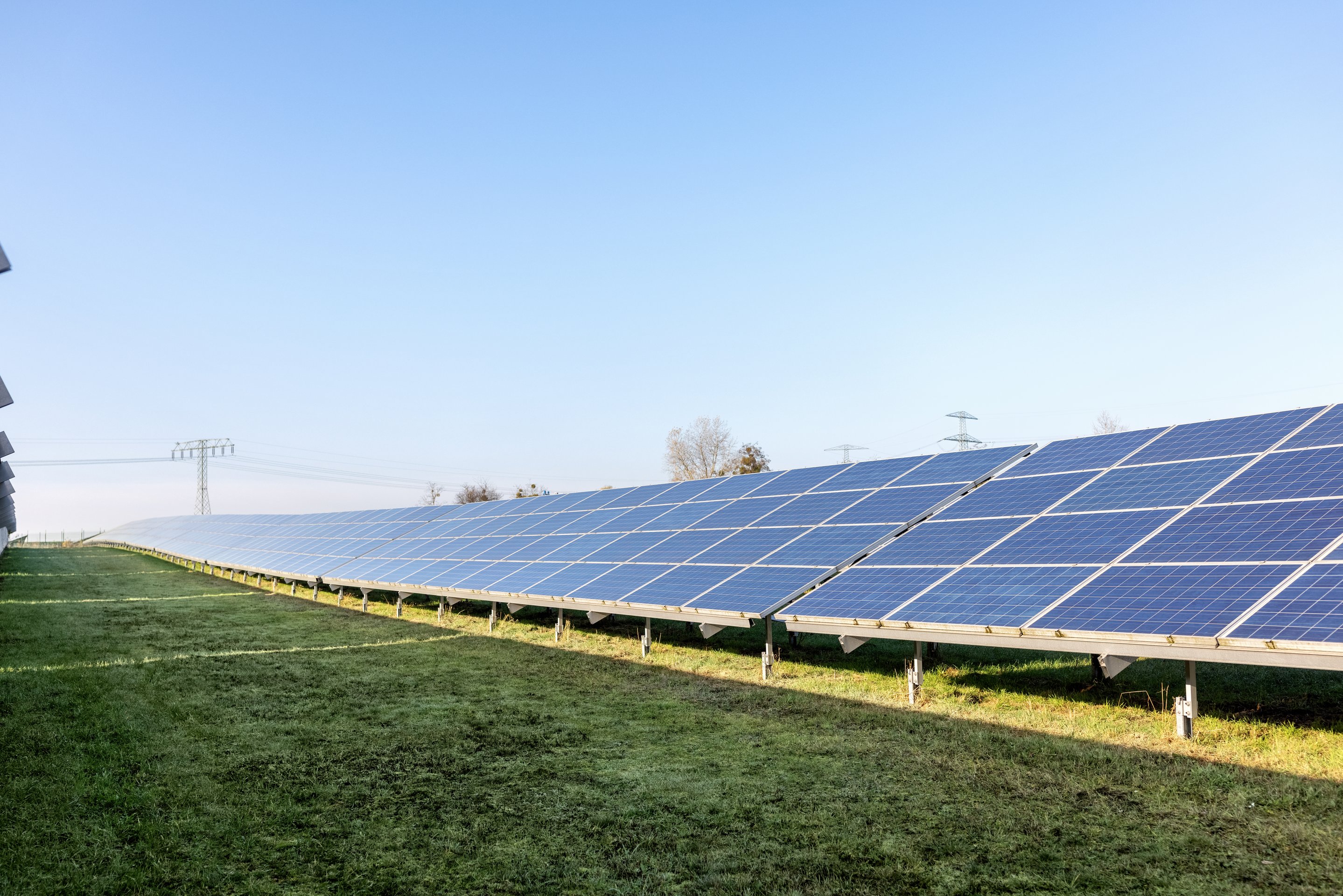 Rows of blue photovoltaic solar panels installed in a grassy field under a clear blue sky.