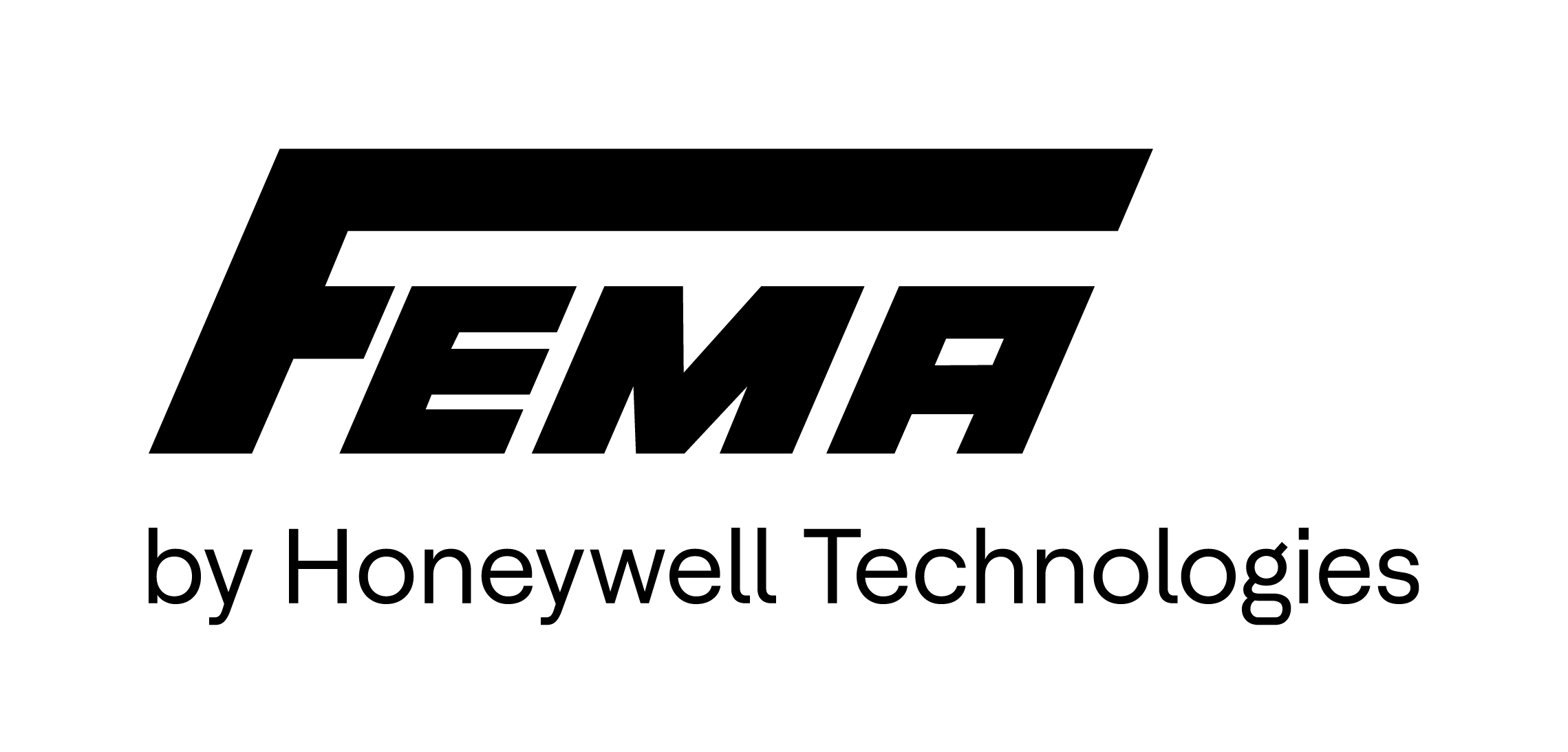FEMA logo