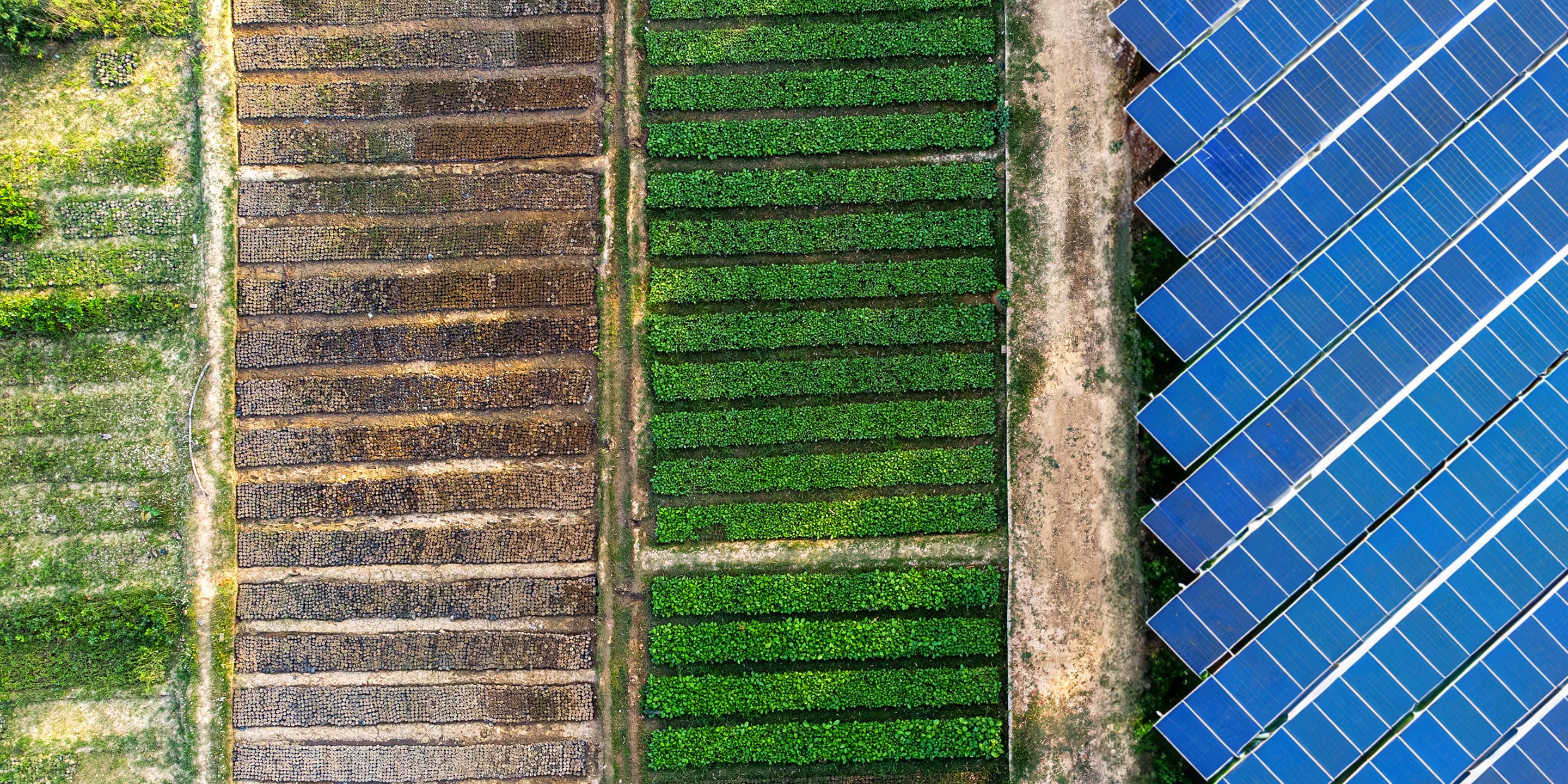 Aerial View of Solar Panels in Navi Mumbai, Maharashtra, India
