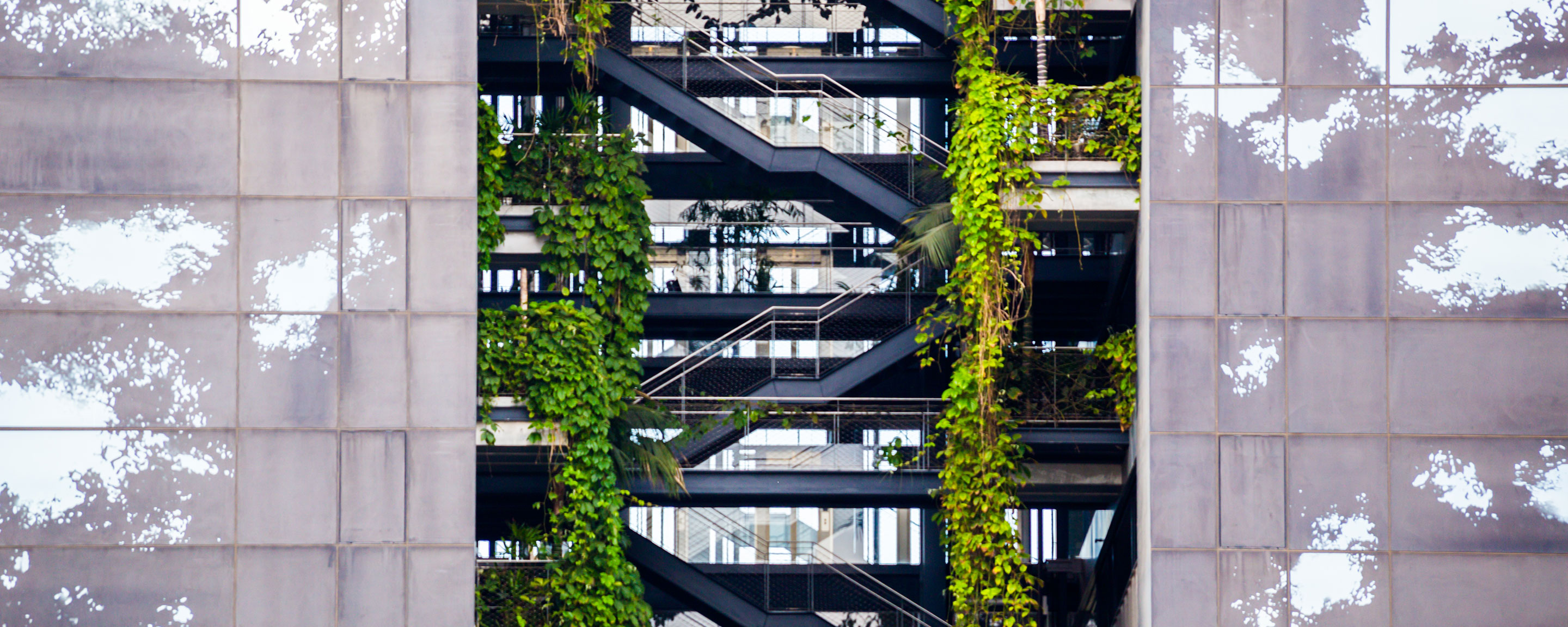 Stairway of a building