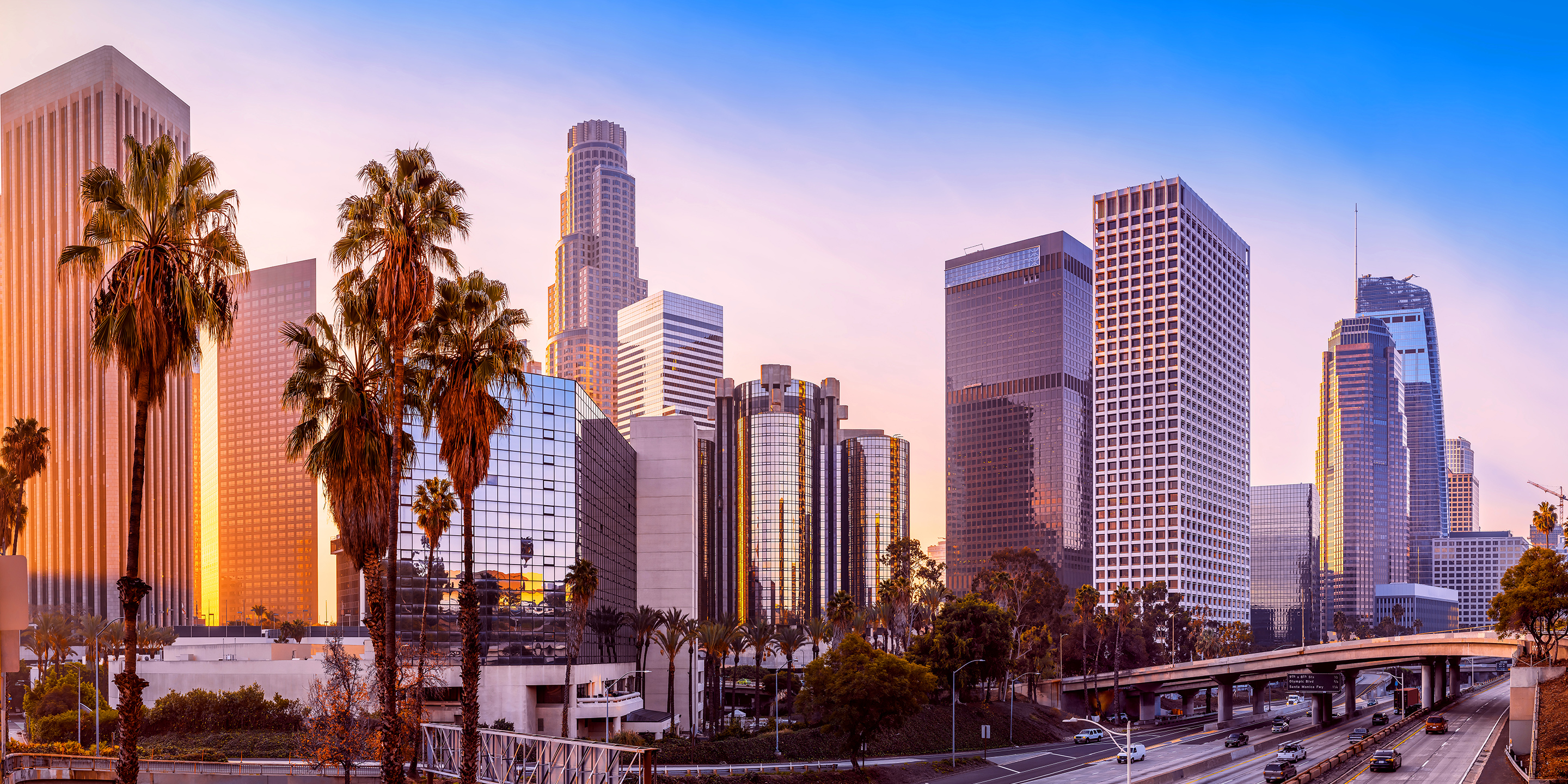 Skyline of city with palm trees and bridge.