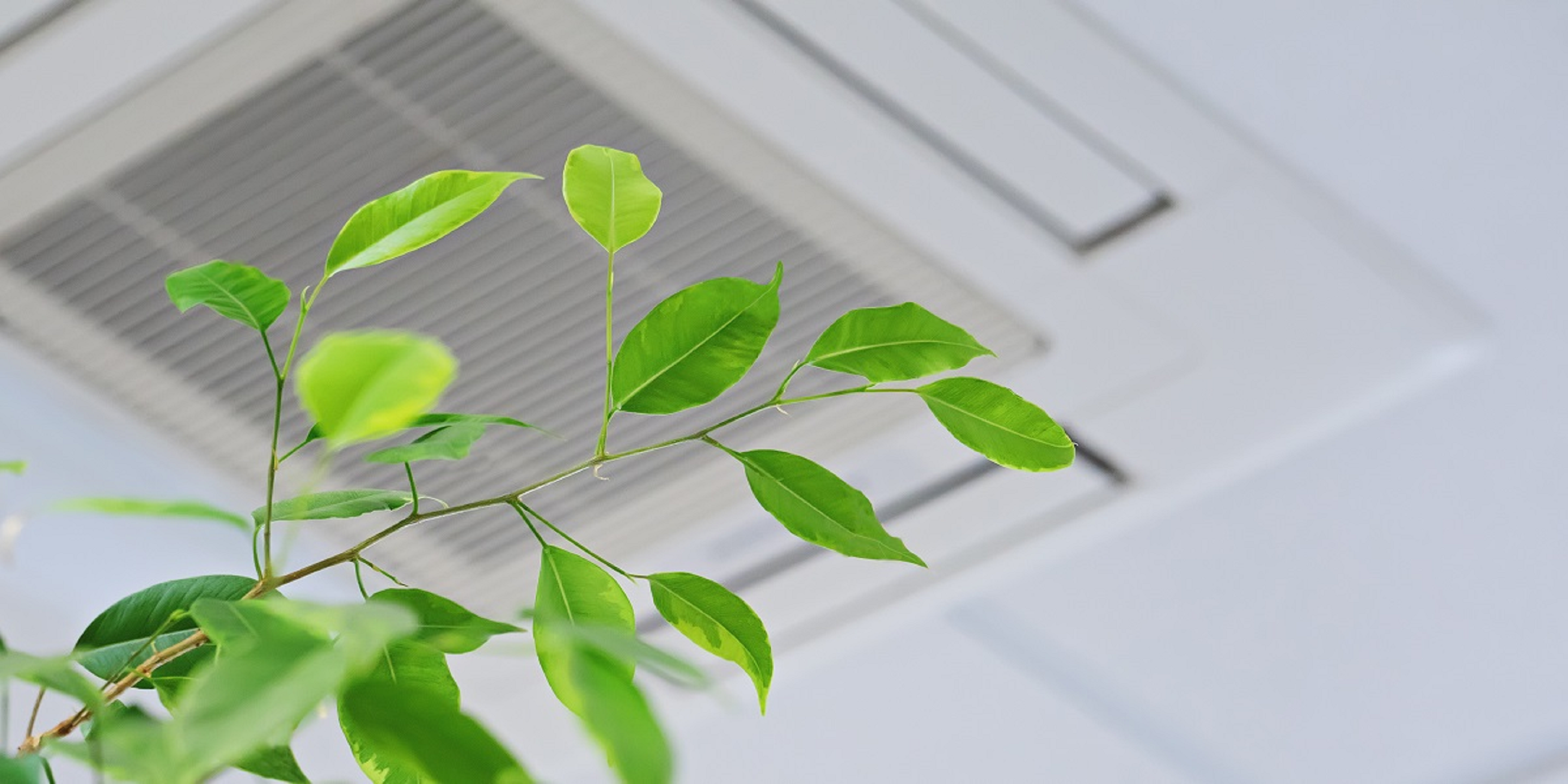 Sustainability Honeywell partners with Dunan